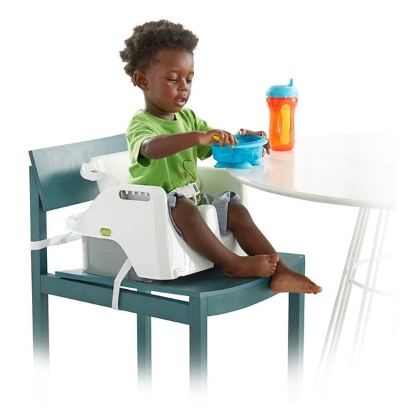 Fisher price 4 in 1 clean store high chair