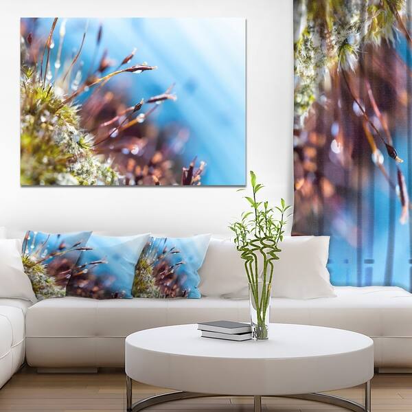 Abstract Moss Flowers in Summer Spring - Landscape Art Print Canvas ...