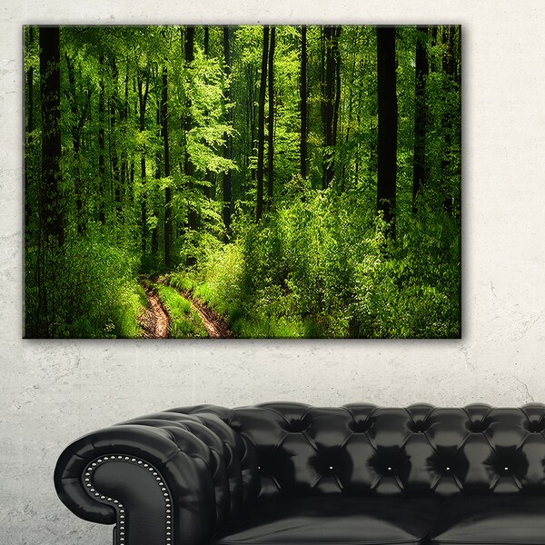 Shop Fascinating Greenery in Wild Forest - Large Forest Wall Art Canvas ...