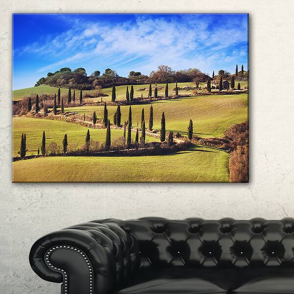 Cypress Trees Scenic Road Siena Italy Oversized Landscape Wall Art