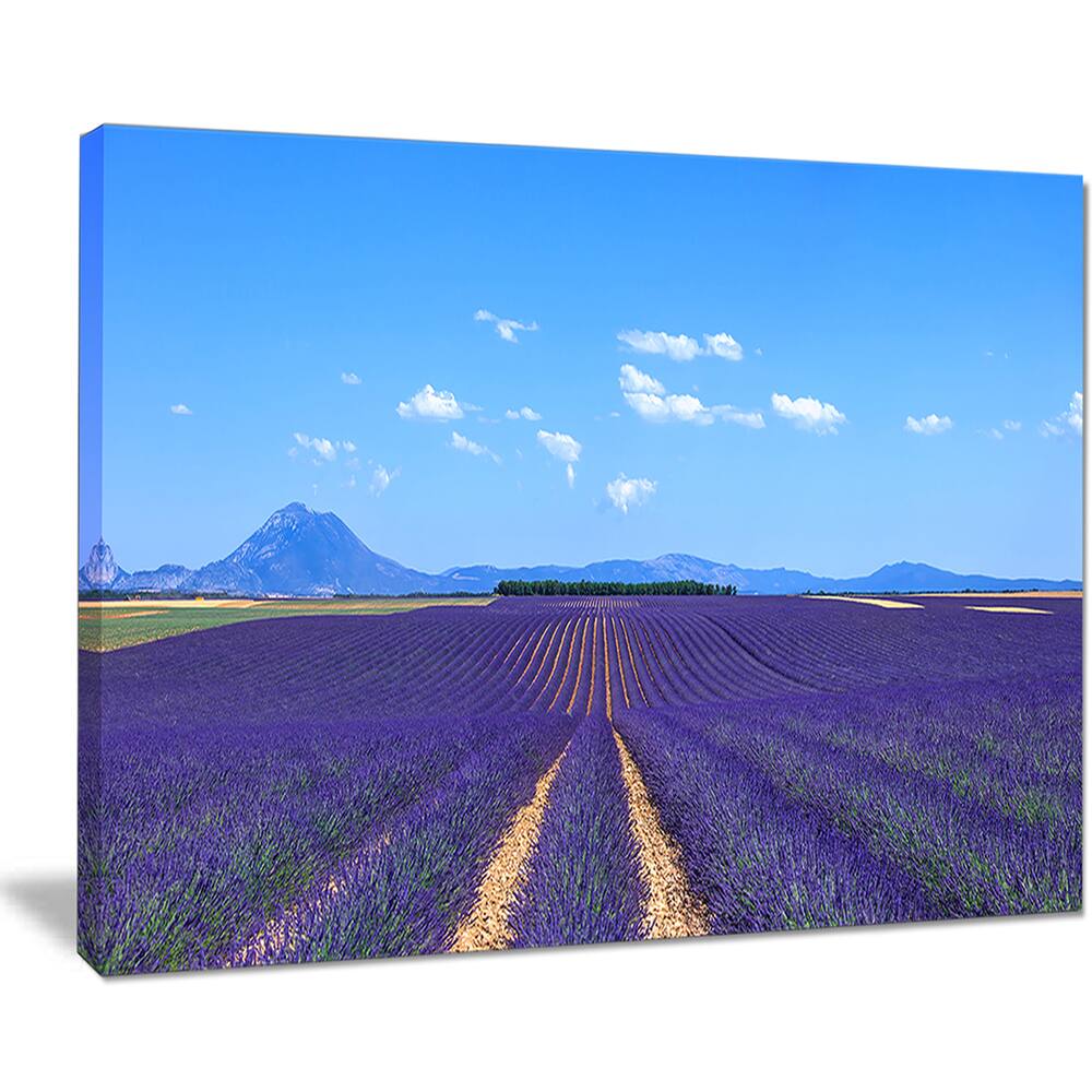 Lavender Blooming Fields and Trees Oversized Landscape Wall Art Print