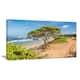 Green Tree on Beach in Kauai Hawaii - Contemporary Seascape Art Canvas ...