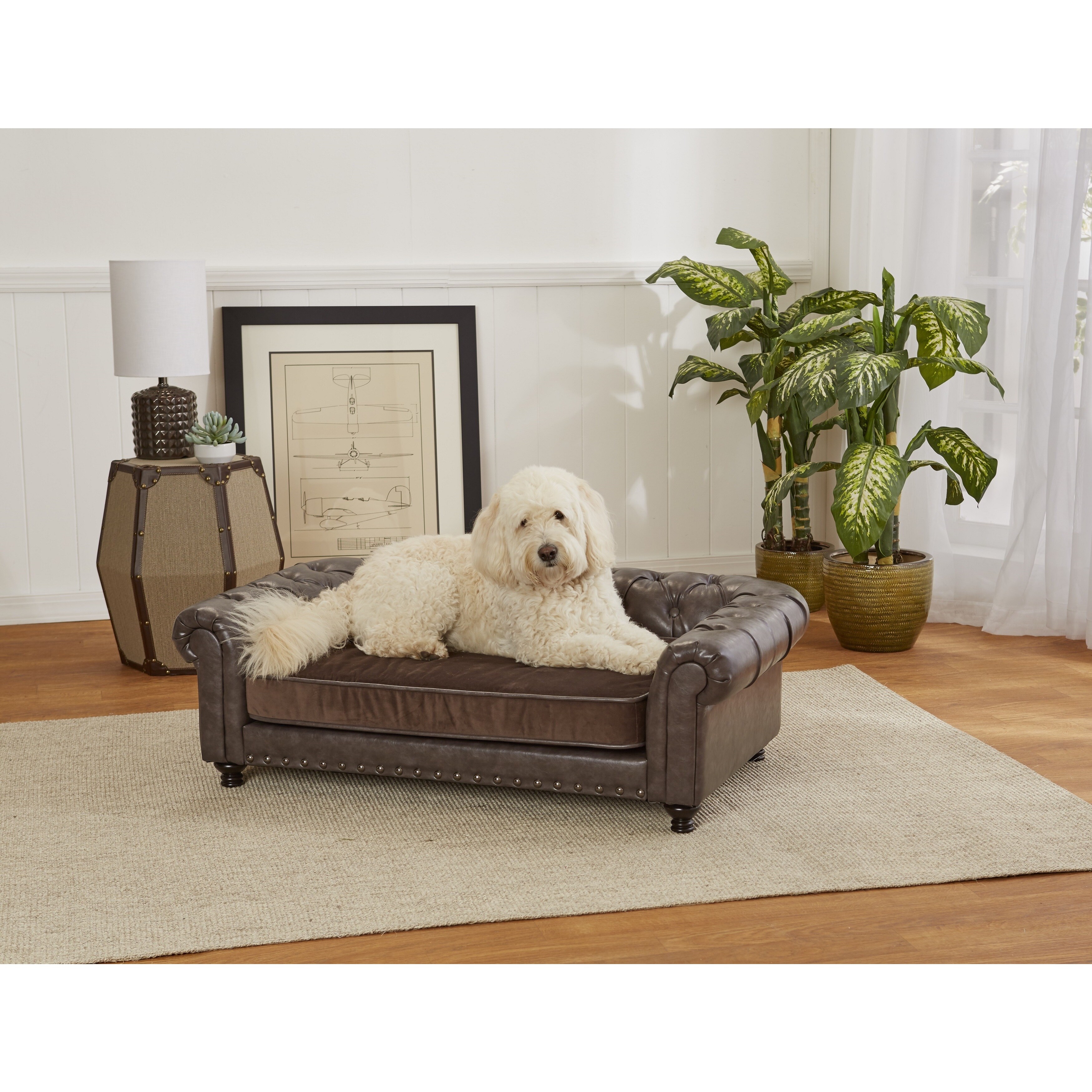 Enchanted Home Wentworth Tufted Pet Sofa Bed Bath Beyond