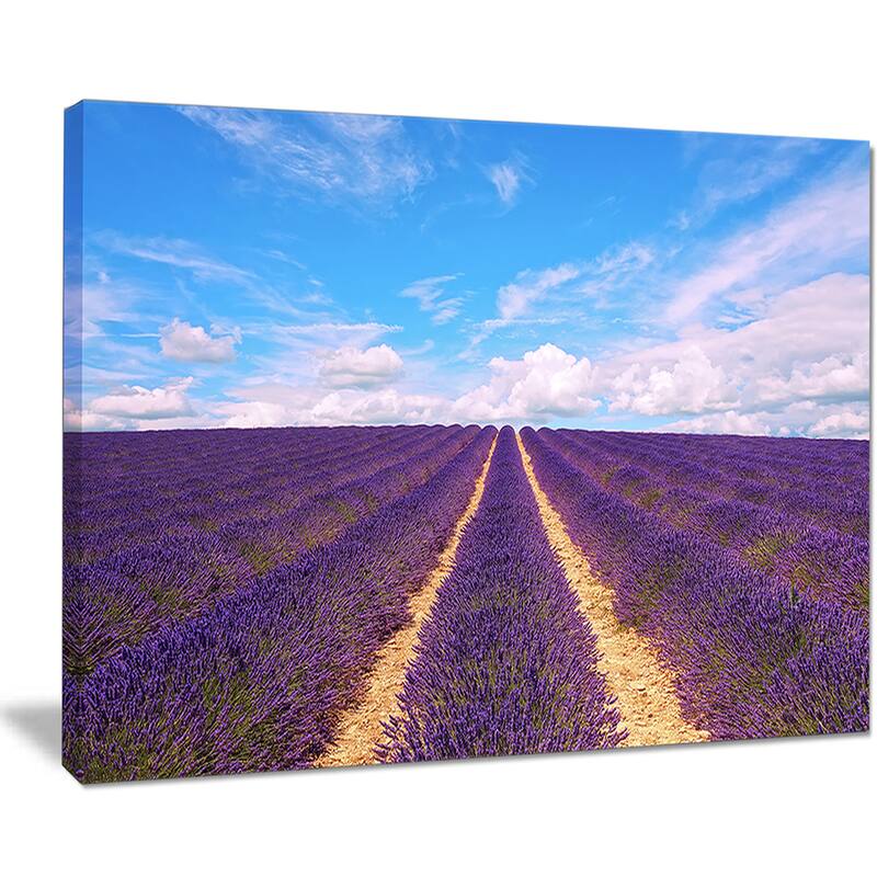 Blooming Lavender Flower Field Oversized Landscape Wall Art Print