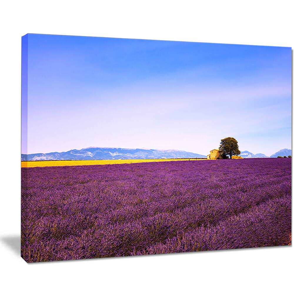 Lavender Flowers with Old House Oversized Landscape Wall Art Print