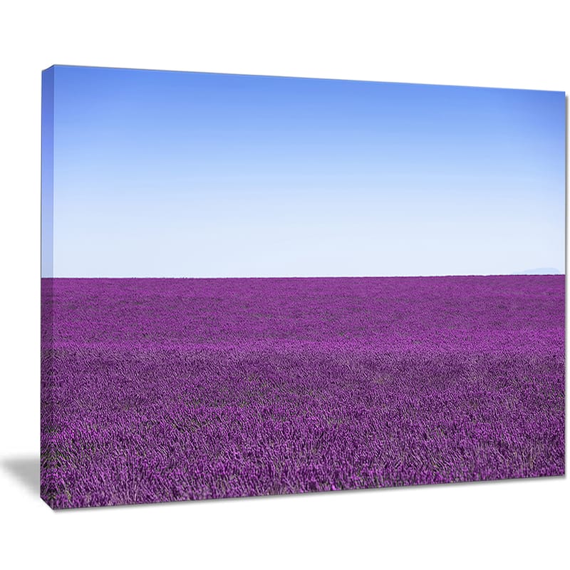 Lavender Flowers with Blue Horizon Oversized Landscape Wall Art Print