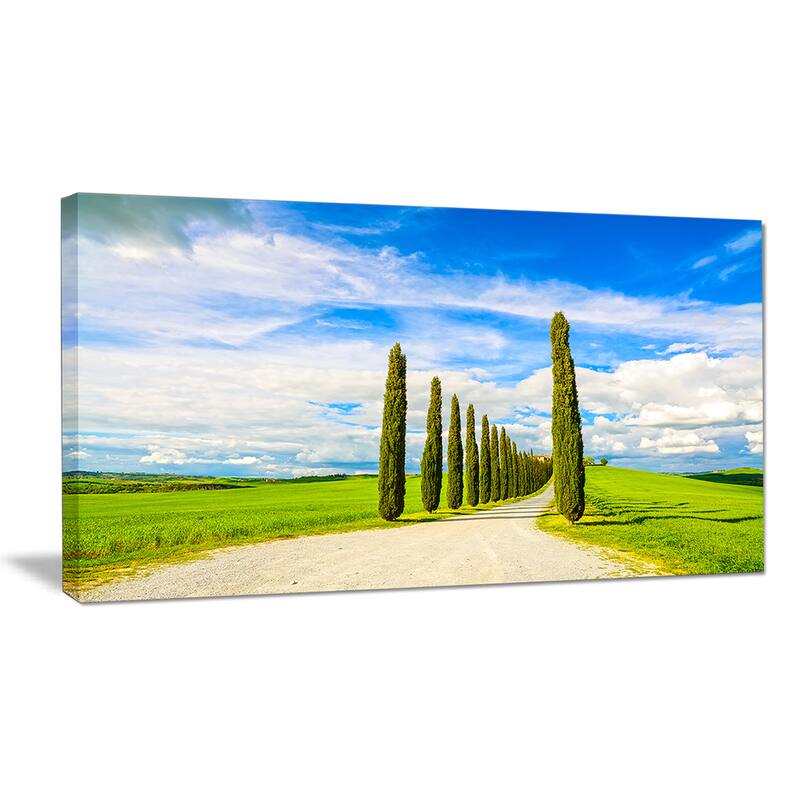 White Road through Cypress Trees Oversized Landscape Wall Art Print