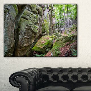 Wild Deep Moss Forest Ukraine - Landscape Art Print Canvas - Multi ...