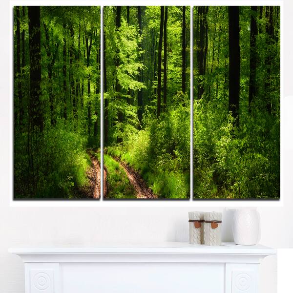Fascinating Greenery in Wild Forest Large Forest Wall Art Canvas