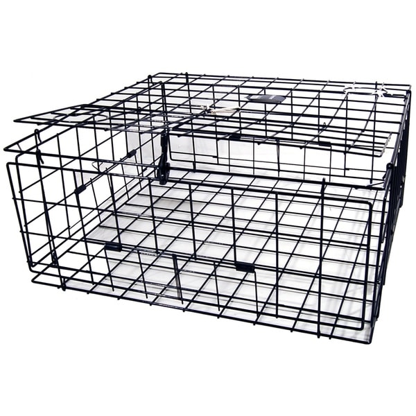 Danielson Jumbo Pacific Vinyl-coated Wire 30-inch Square Fold-Up FTC Crab Trap