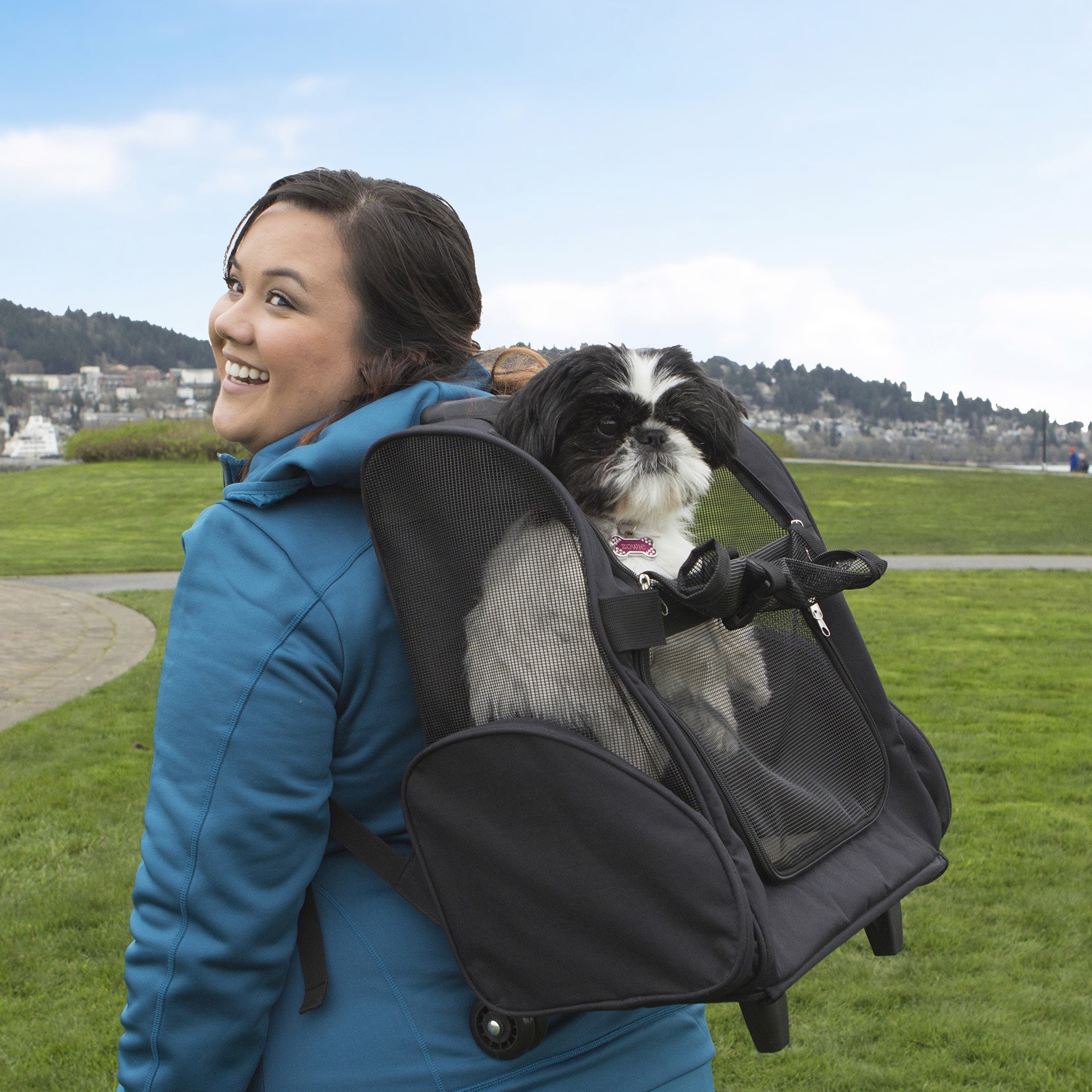 pet backpack roller carrier