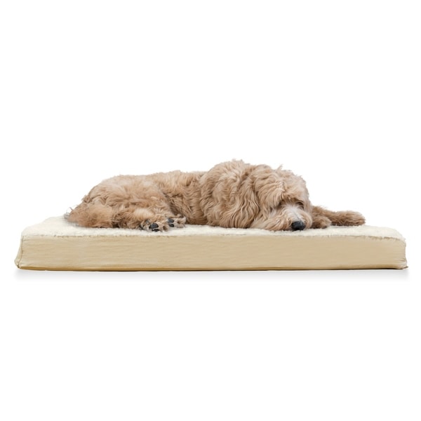 cooling gel dog bed