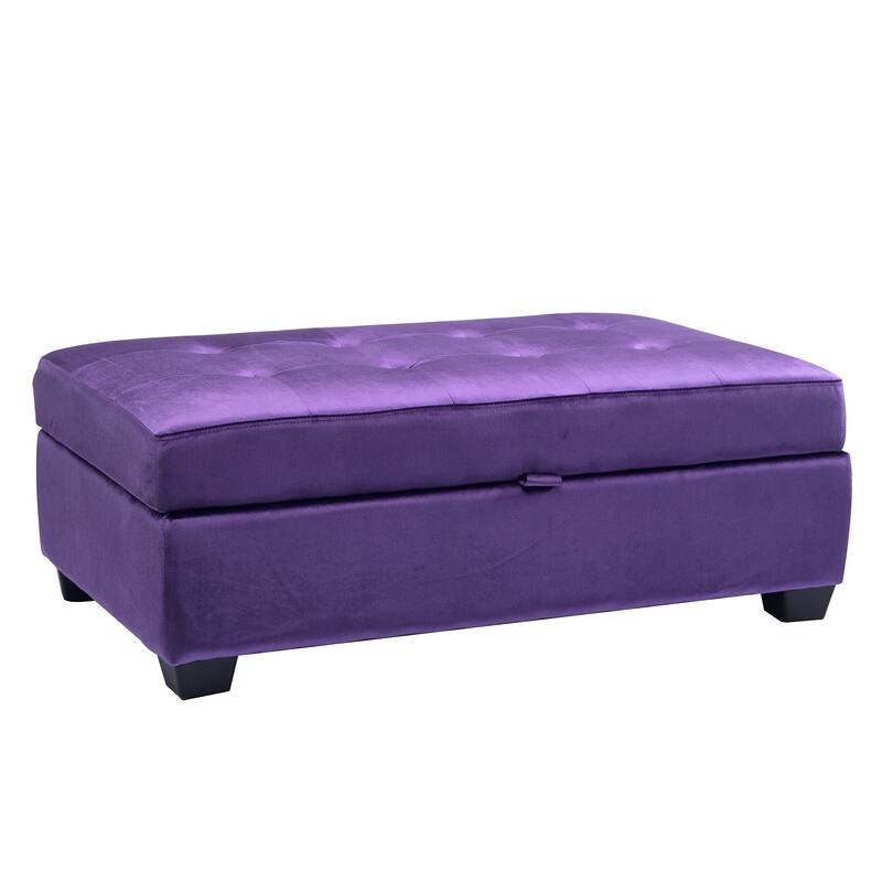 Antonio Velvet Upholstered Storage Ottoman