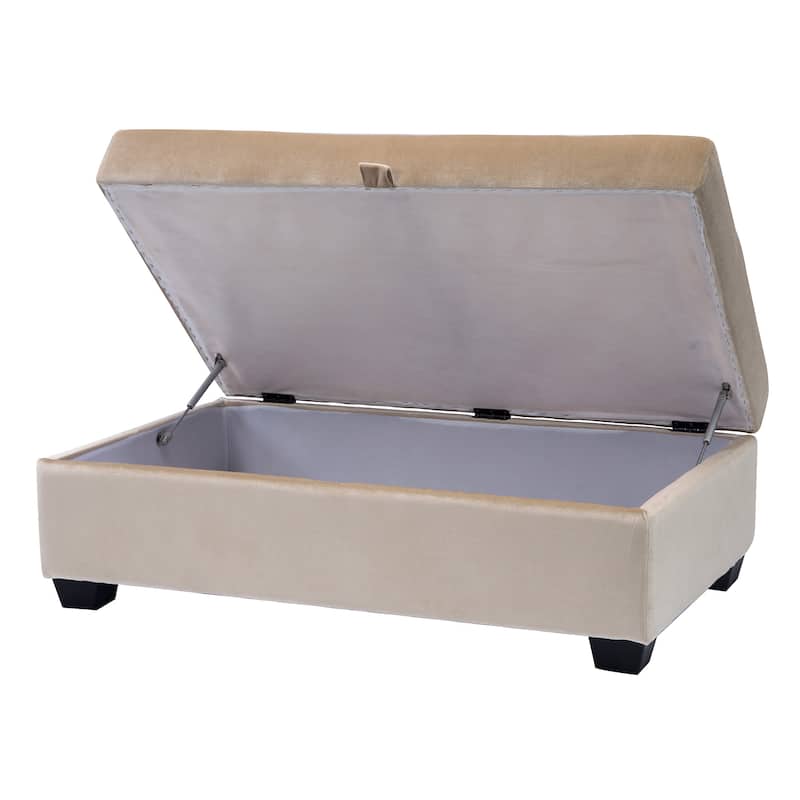 Antonio Velvet Upholstered Storage Ottoman