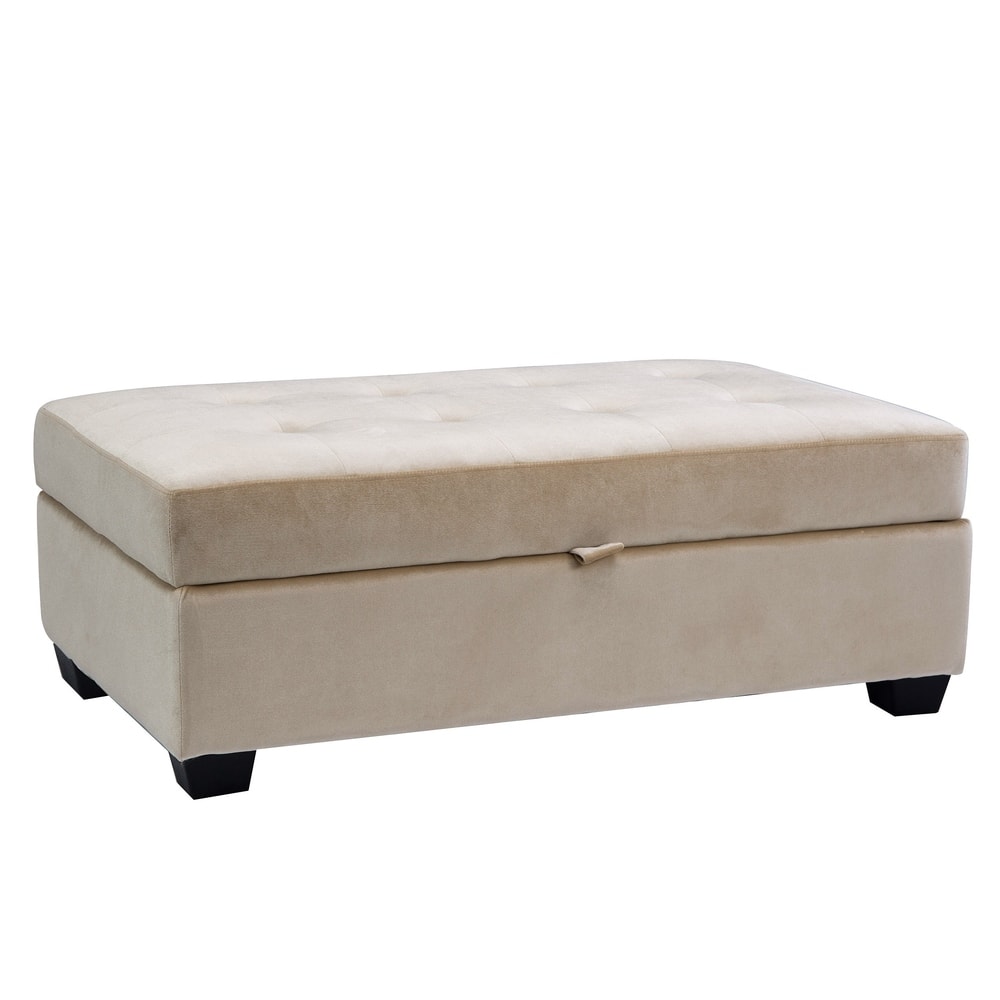 Antonio Velvet Upholstered Storage Ottoman