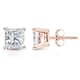 Option Rose
