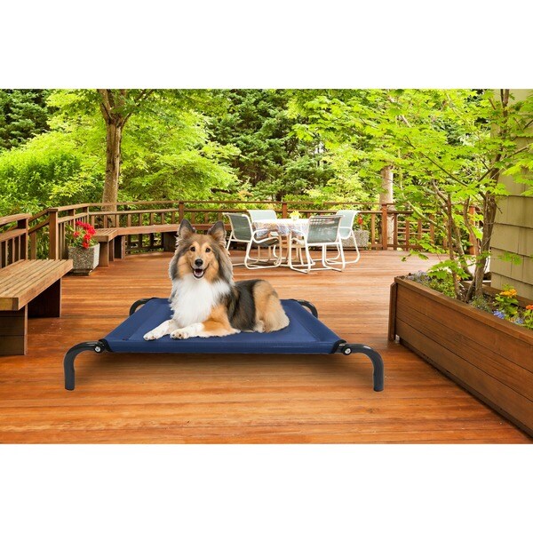 FurHaven Steel-frame Elevated Hammock Cot-style Raised Pet Bed