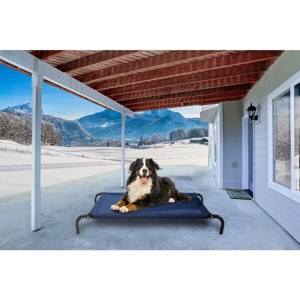 Furhaven Steel Frame Elevated Hammock Cotstyle Raised Pet Bed Free