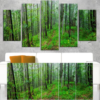 Green Wild Forest with Dense Trees - Large Forest Wall Art Canvas