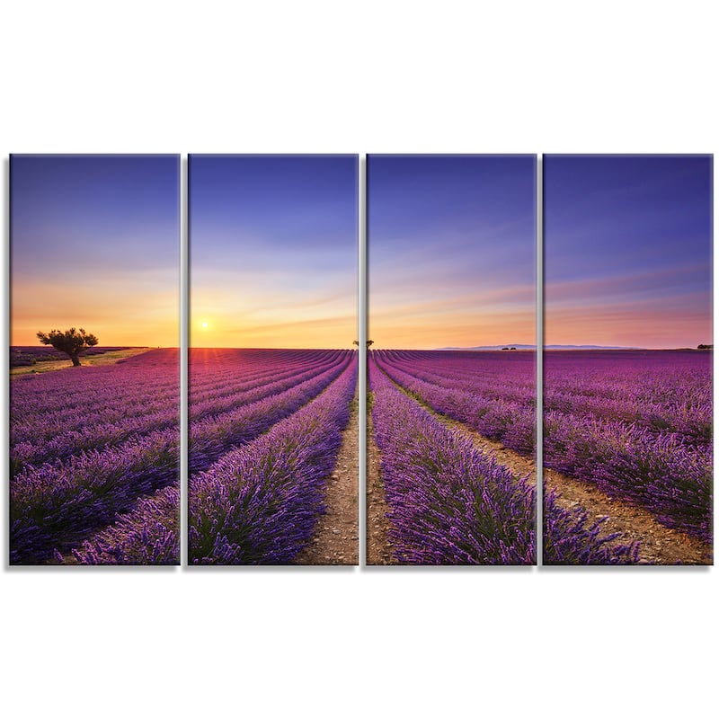 Lavender Field in Provence France - Oversized Landscape Wall Art Print ...