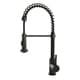 preview thumbnail 2 of 1, Brienza Oil Rubbed Bronze Residential Spring Coil Kitchen Faucet
