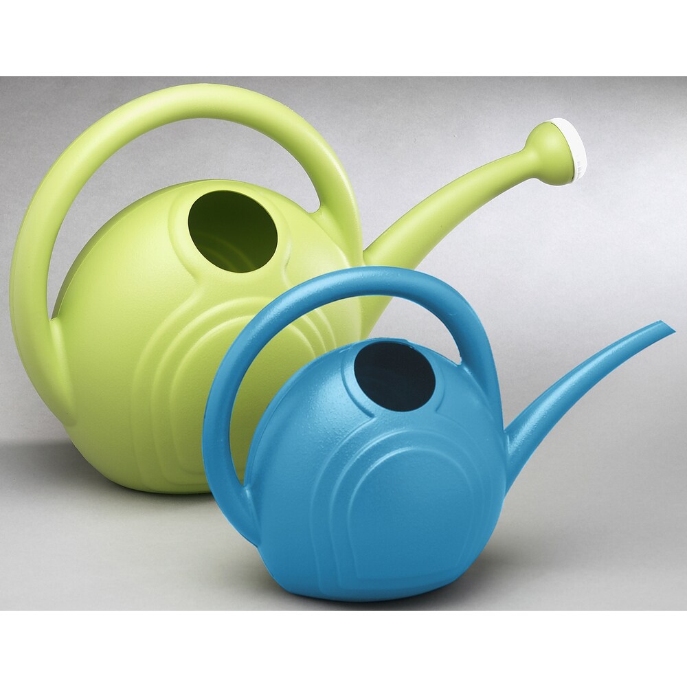 Behren S Products Hot Dipped 3 Gallon Steel Watering Can 3 Gallon Silver Steel Watering Can From Overstock Com Daily Mail