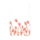 Option Coral