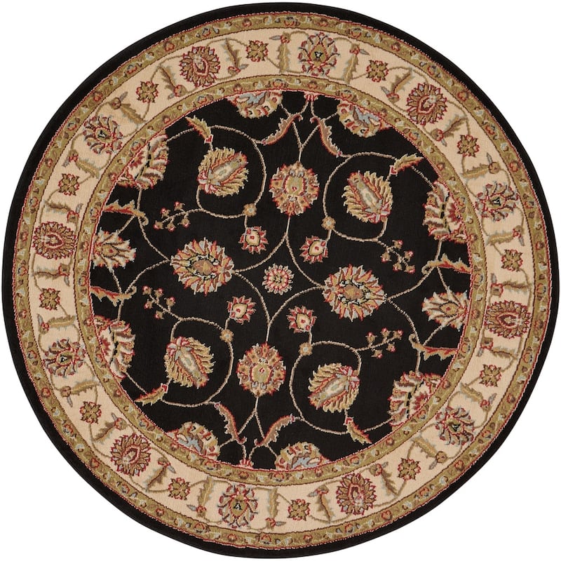 Nourison Modesto Persian Floral Border Area Rug
