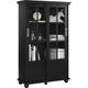 Shop Ameriwood Home Aaron Lane Black Bookcase with Sliding ...