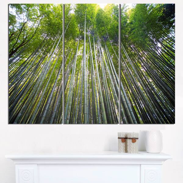 304 Bamboo Tree Top View Illustration Royalty-Free Images, Stock Photos &  Pictures
