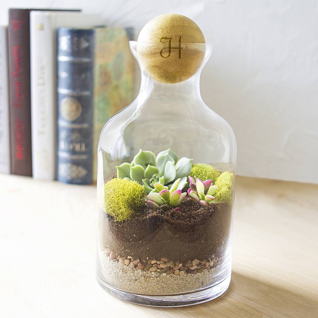 Personalized 56-ounce Clear Glass Terrarium with Wood Ball