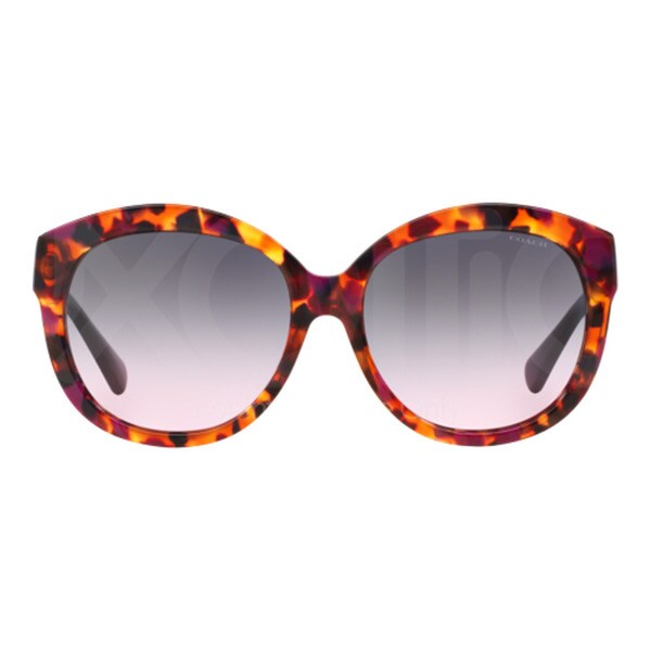 coach confetti purple sunglasses