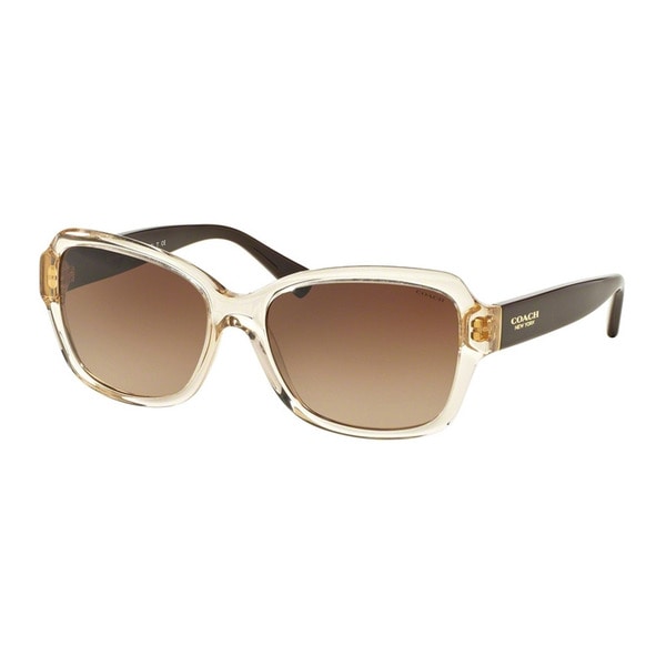 Shop Coach Hc8160f 534113 Crystal Light Brown Dark Brown Womens Plastic Butterfly Sunglasses