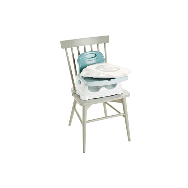 fisher price deluxe healthy care booster seat