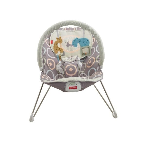 Bed bath and store beyond baby bouncer