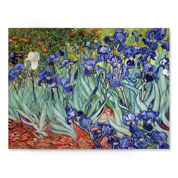 Vincent van Gogh 'Iries' Canvas Wall Art - Bed Bath & Beyond - 12361276