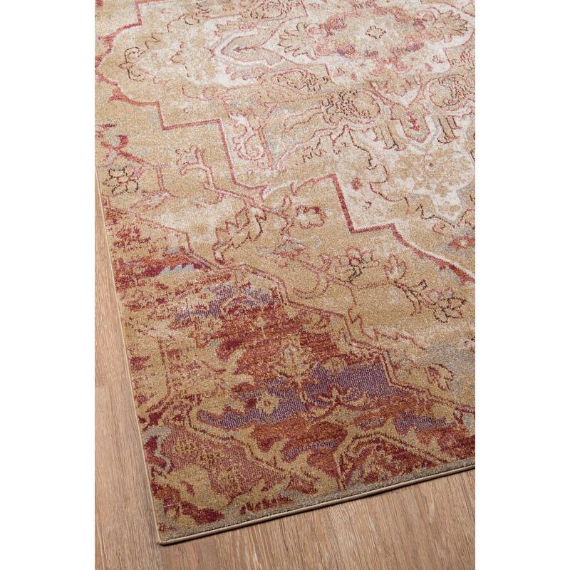 Momeni Amelia Polyester Blend Traditional Medallion Area Rug