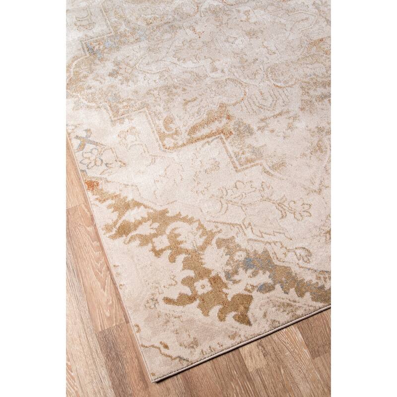 Momeni Amelia Polyester Blend Traditional Medallion Area Rug