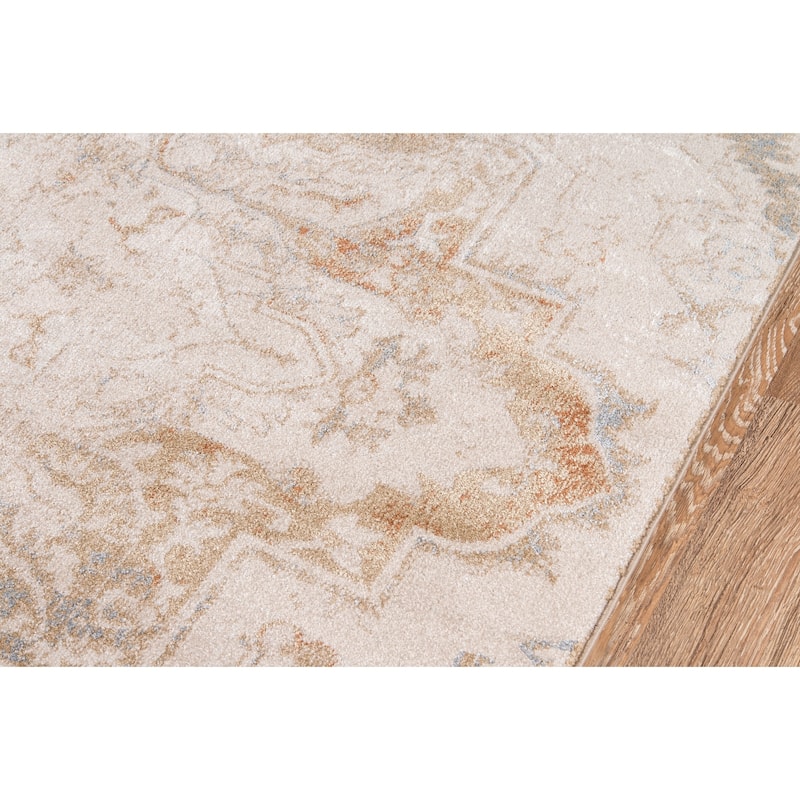 Momeni Amelia Polyester Blend Traditional Medallion Area Rug