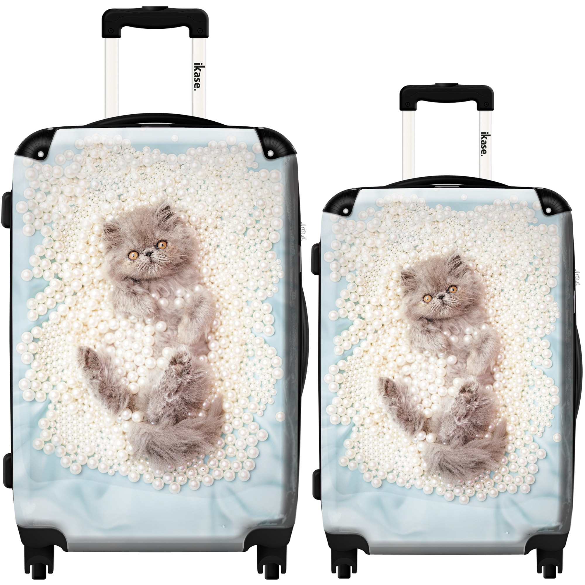 cat luggage set