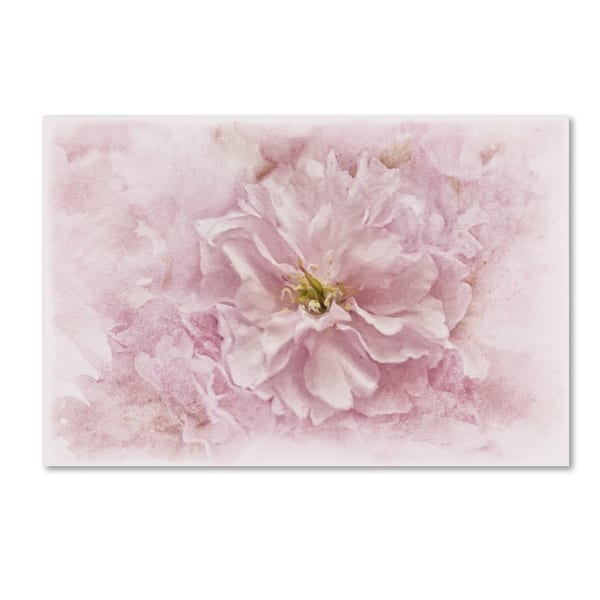 Cora Niele 'Cherry Blossom' Canvas Art - Overstock - 12379305