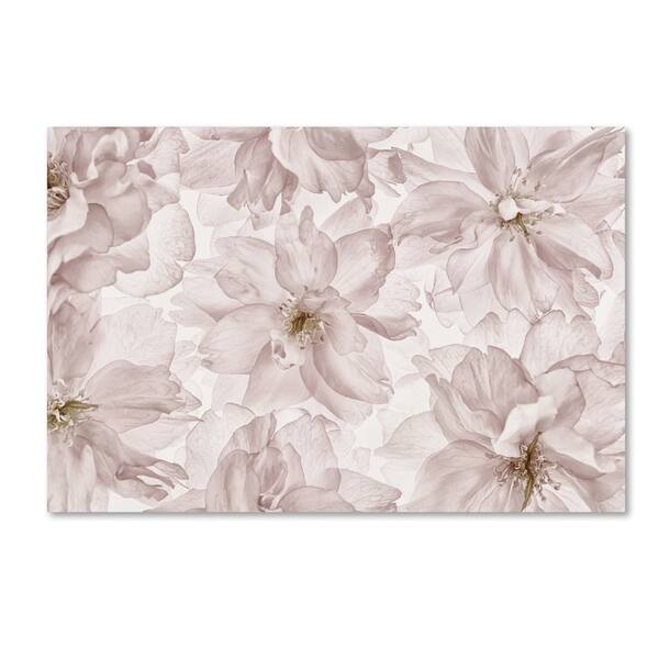Cora Niele 'Translucent Cherry Blossom' Canvas Art - Overstock - 12379530