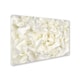 preview thumbnail 2 of 1, Silver Orchid Crain Cora Niele 'White Peony Flower' Canvas Art