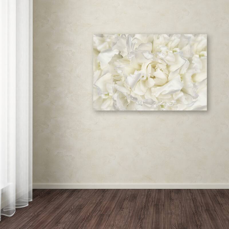 Silver Orchid Crain Cora Niele 'White Peony Flower' Canvas Art