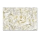 preview thumbnail 1 of 1, Silver Orchid Crain Cora Niele 'White Peony Flower' Canvas Art 22 x 32