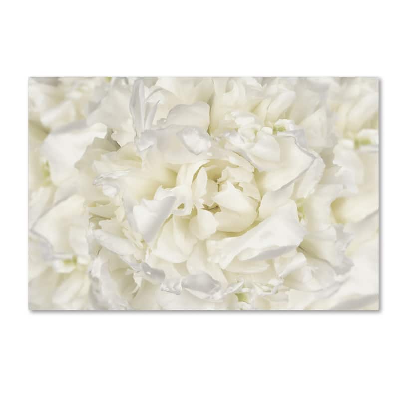 Silver Orchid Crain Cora Niele 'White Peony Flower' Canvas Art