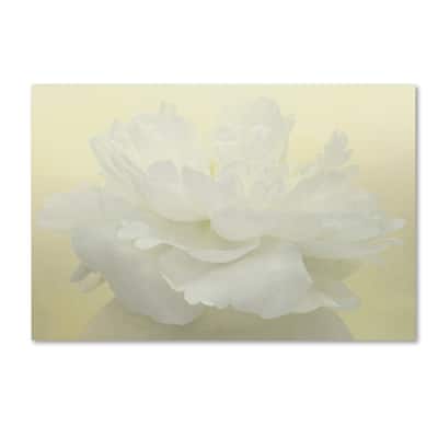 Cora Niele 'Pure White Peony' Canvas Art