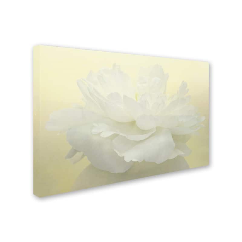 Cora Niele 'Pure White Peony' Canvas Art