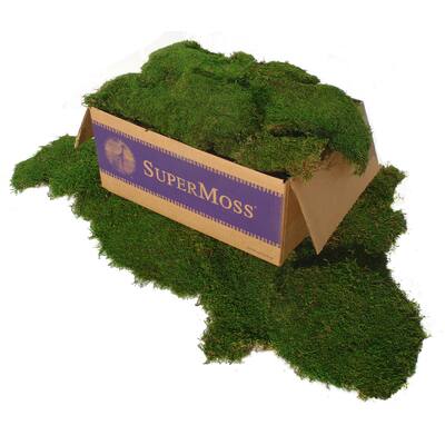 Super Moss 21508 5-Pound Green Sheet Moss