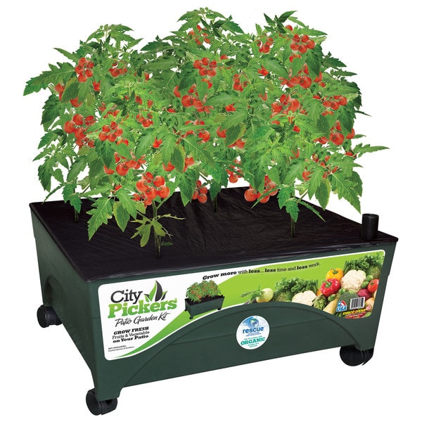 Emsco Group 2340 3-Foot X 3-Foot City Pickers Indoor Patio Grow Box